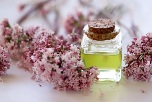  Наша билка прави чудеса 