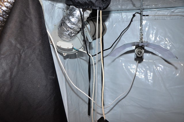 Разбиха лаборатория за марихуана