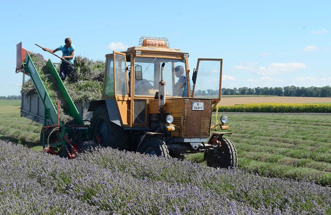 12 юли: България в снимки