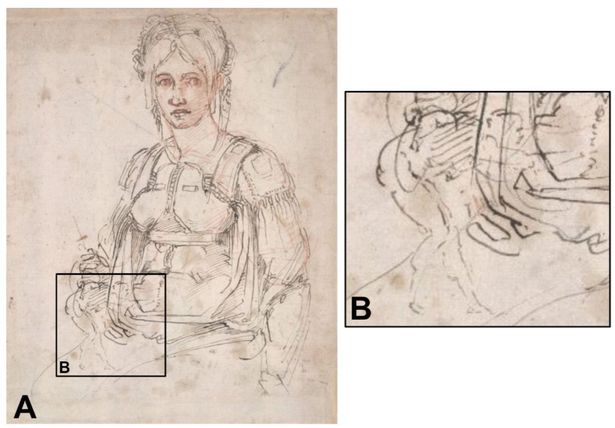Скрит автопортрет на Микеланджело бе открит в известна негова творба (СНИМКИ)