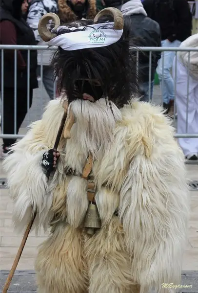 Над 13 000 участници в тазгодишното издание на „Сурва 2026“ (ВИДЕО+СНИМКИ)