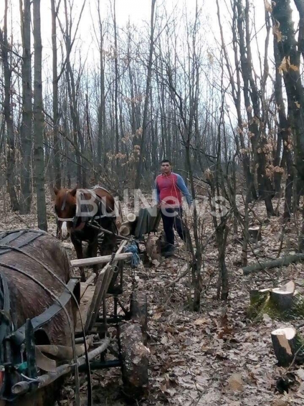 Цигани безчинстват из горите във Врачанско