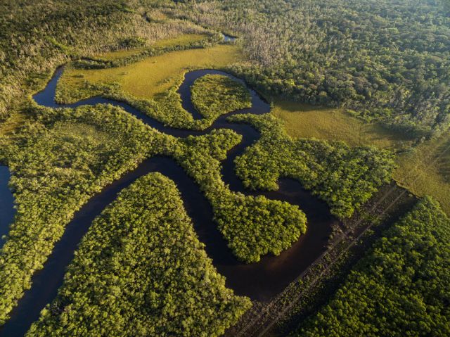  Защо над Амазонка няма нито един мост 