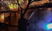 ������ �������� � ������ � ���� ���� ���������� �������