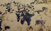 ������ ��� �� �������� ������ �� ������, ��� �� �������� �� �����: ��������� ������ �� ����� ���������