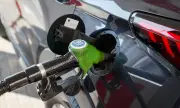 ������ ����� ������� �� ����� ������ ������ �������� �� ��������� �����