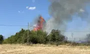 ������ �������� �������� ������ � ��������