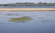 ������ ����� ������ �������� ������ ���� �����