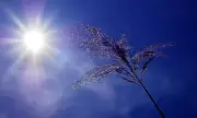   ,   , 1 :  ,    