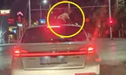 МВР хвана по кадри в мрежата шофьор на кола с 4-годишно дете на люка в Пловдив