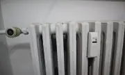 ������ � ����� ������ ������� �� �����������