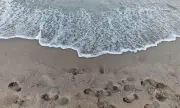  56-     