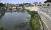 ������ ������ � � ���� �� ��������� �����������: ���������� ������ ����� �� �������� �� ���� ���-���������������