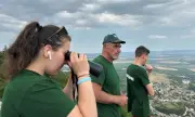      :      