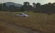 ������ ��� � ���� ������� ������� ����� ����