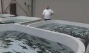      -     