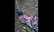 Зловеща находка: Деца откриха мъртви и малтретирани котки в парк "Въртопо"