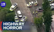 ������ �������� � �����: 58-������� ��� �� ����� � ���������� �� ������ � �������� �� 1 � 5 ������ �����
