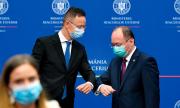 Съседите с нов рекорд на заболели от коронавирус