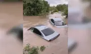 ������ ���� ����������: ���� ���������� �� ������ ���� ������������