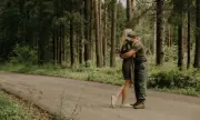 ������ �������� �������: ������ ��������� �������, ������ ������� ����� 