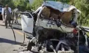 ������ ���-����� 16 ���� �������� ��� ���������� � ��������