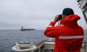 ������ ���������� �������� � ����� ����! ������� ������� ����������� �� ����� ������ �� Wine Trader