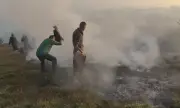 ,       , ,     