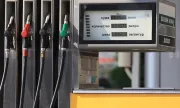 ������ �������� �� ������ �� ��������: ������� �� 50 ���� �� ������� �� ���� 16 ���� �������