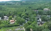 ������ ������������ �� ������ ����� �����: ������ �� ���������, �������� ������ � ���������� ������� �����