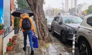 ������ ������� ����, �������� �� �����, 14 ��������: ������� � ������, ���� �� �����