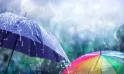 ������ ������� ����, �������� �� ������, 13 ���: ��������� ���������, �������� ������������ �� ������������