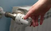       2:            