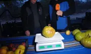 ������ ���������� ������: 2-����������� ����� ���� �������