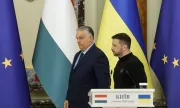 ������ ���� ��������� ������ ����� �� ������ ���
