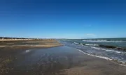 ������ ������ ���������� �� ������ ��������� � ��������� ����