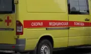 ������ ��������� ������� ��������� ����, �������� ����� �������