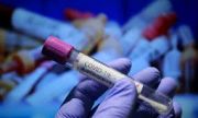 Отново София, Пловдив и Варна с най-много заразени