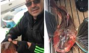 Бургазлия хвана рядко срещана морска лястовица (ВИДЕО)