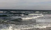   ,   , 31 :   .    