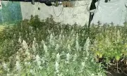 ������ ����� ����� 900 ������ ������� � ���������� � ��������
