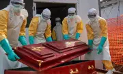 ������ ���: ���������������� �� ���� �� �������� �� ����� ������� ���� �� ��-��������� ��������������� �� ��������