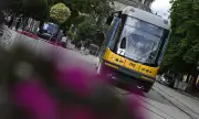 ������ ��� ���� ���������� �� �������� �� ��������� ���������������� � ����� 41,8 ���. ����