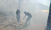 ������ ������ ���� �� ������� � ������ ������