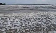 Откриха рядка морска котва до Царево