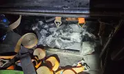 ������ ������������ ��������� �� �� ������� �������� ������� 73 ������������ ����� ��������� ������