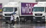 ������ ����� � ������� ������� ����� �� Wildberries � ������������