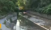 Кафява вода и миризма от река в центъра на София