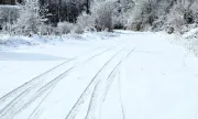 ������ ��� �������: ���������� ������������ �� ����� �������
