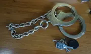 ������ �������� 83-������� ���� �� ������������ ����� �� ����� � ��������